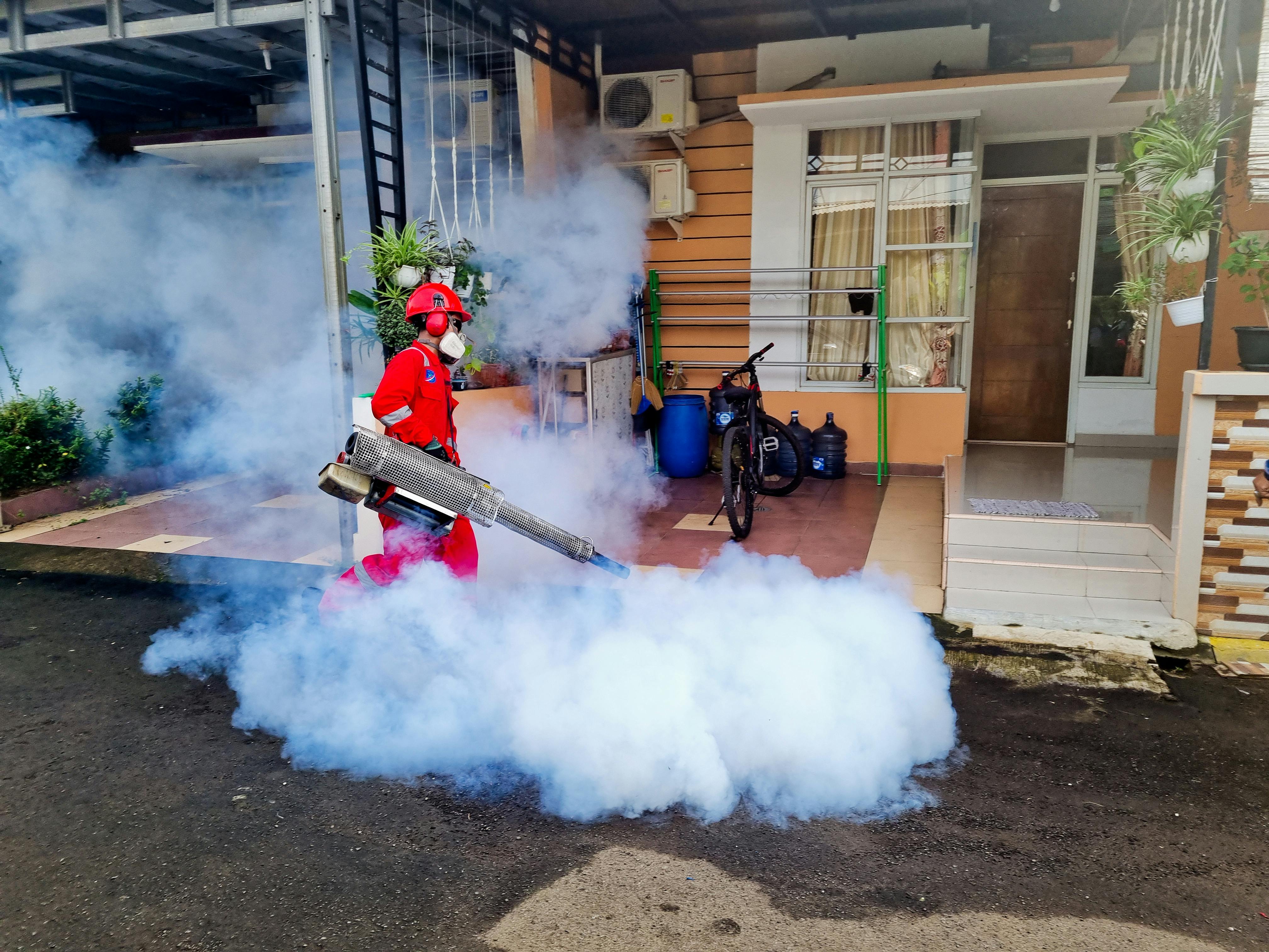 Pest Control Services in Chandigarh